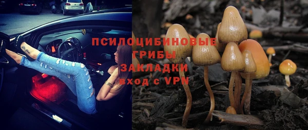 прущая мука Покачи